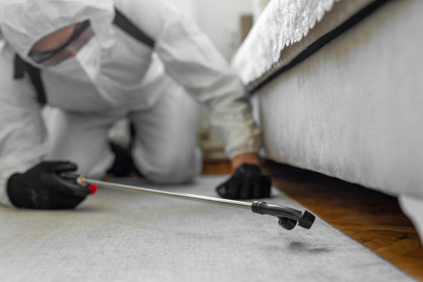 Professional Bed Bug Control technician working in Coldwater, MI
