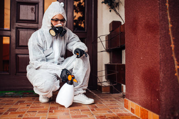 Reliable Bed Bug Control contractor in Coldwater, MI by Nex Pest Control